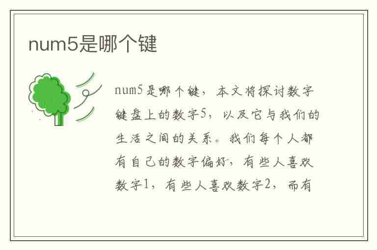 num5是哪个键(num6是哪个键图片)